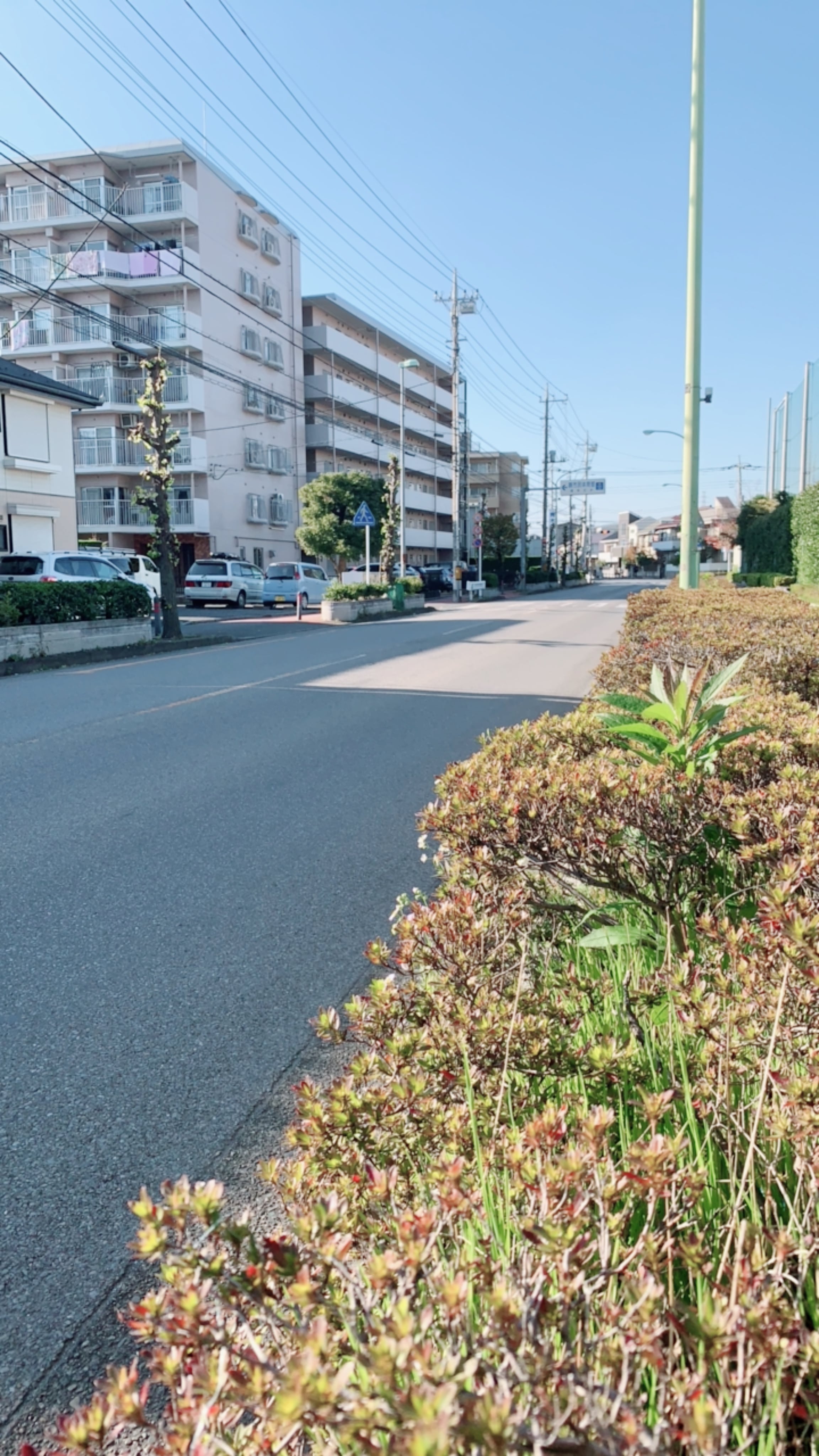 街道