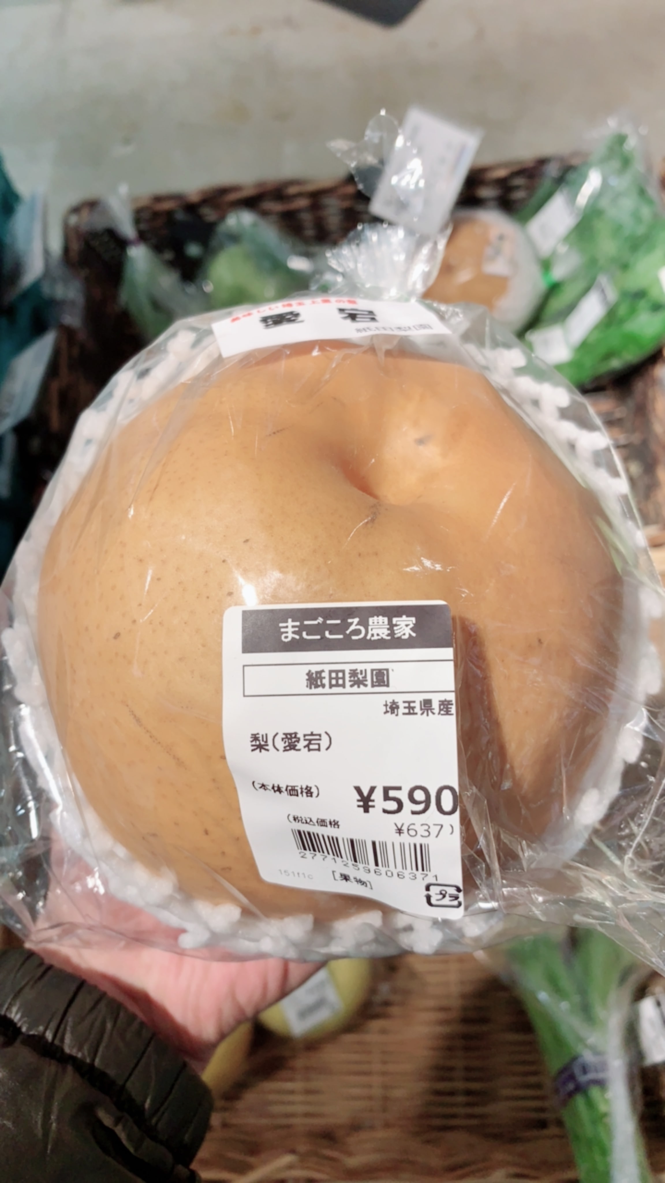 生活