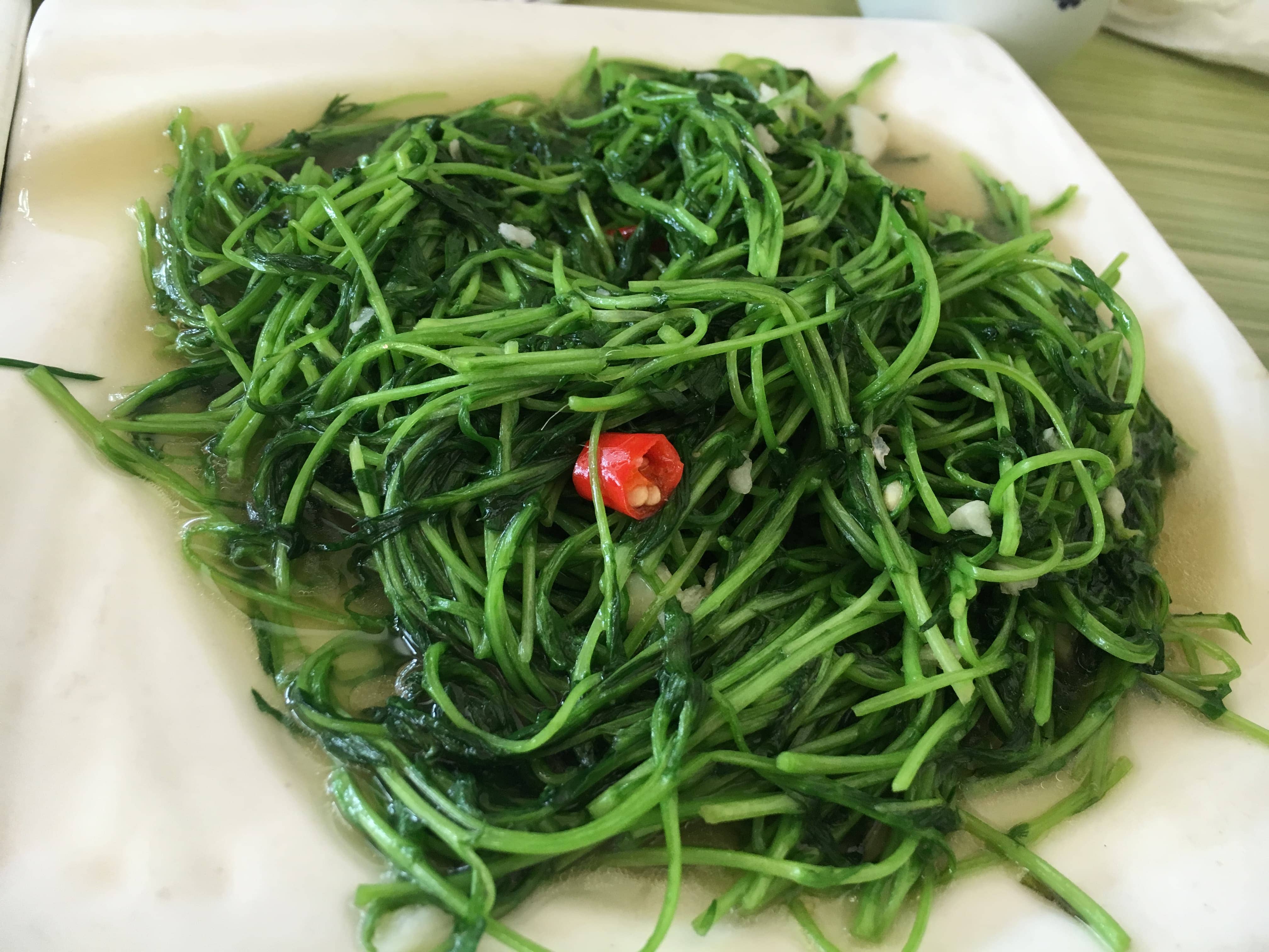 水性杨花