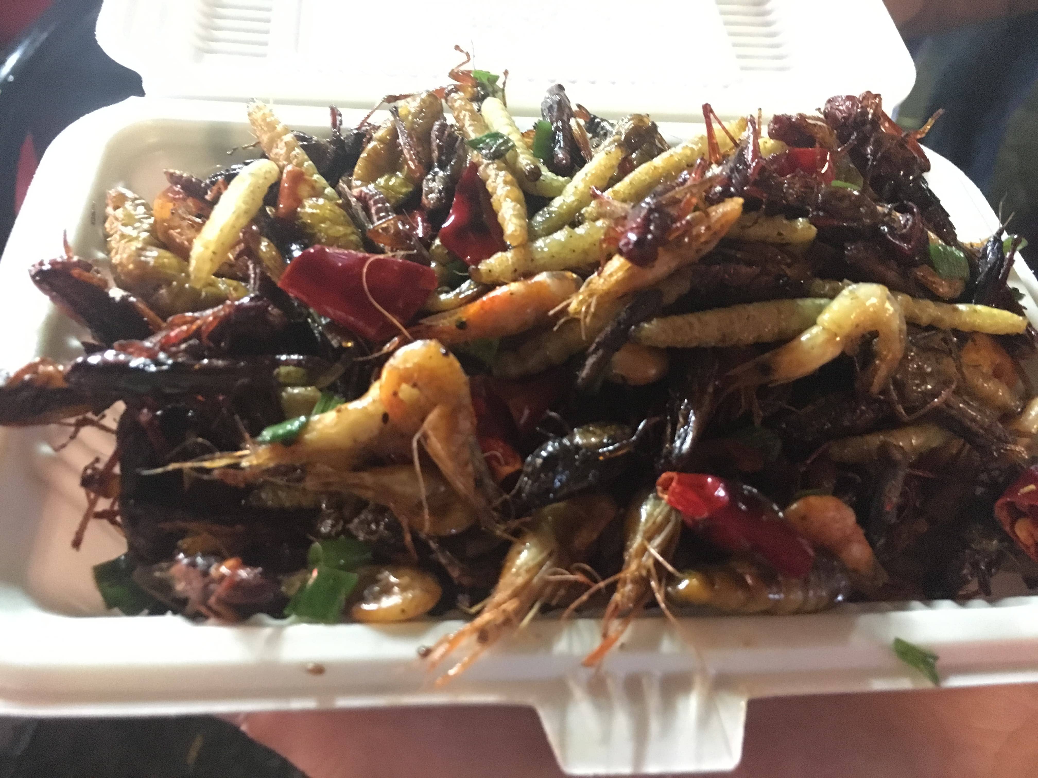 炸昆虫
