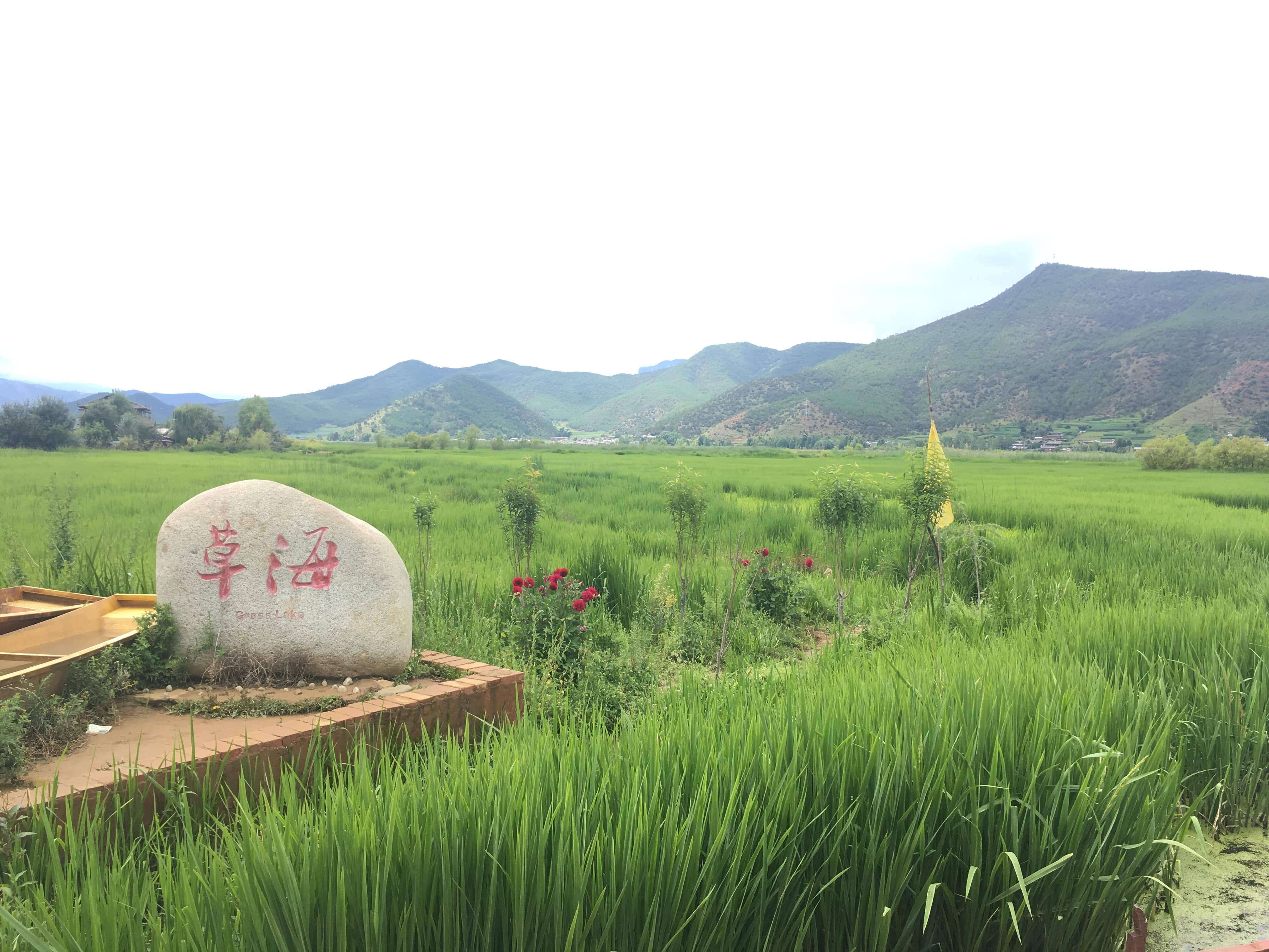 草海